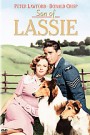 Son Of Lassie